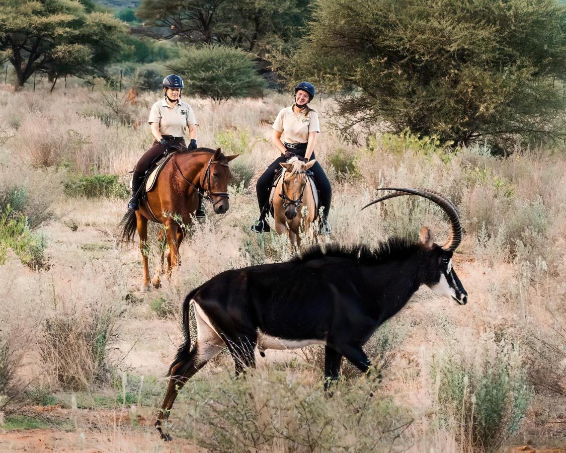 Gabus Safari Lodge Otavi Zewnętrze zdjęcie
