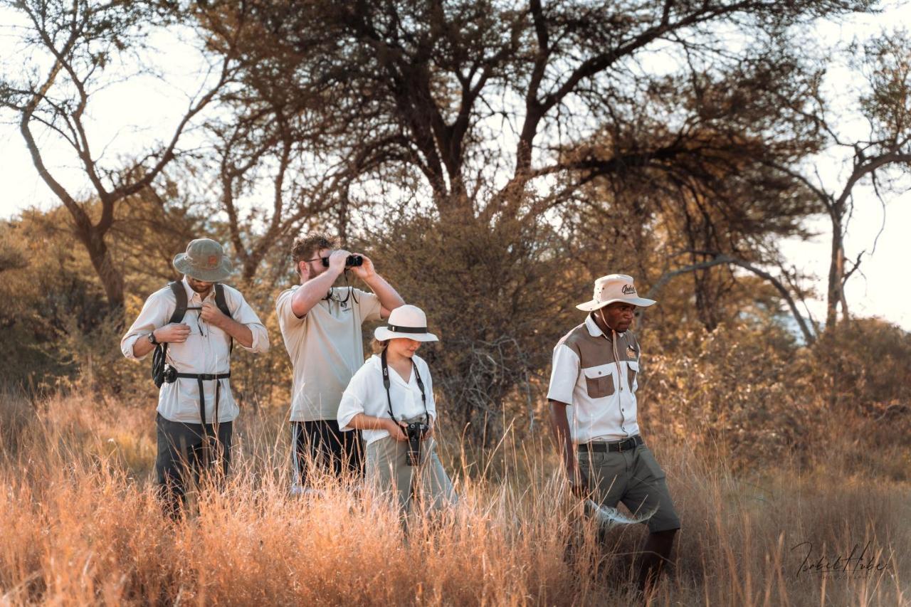 Gabus Safari Lodge Otavi Zewnętrze zdjęcie