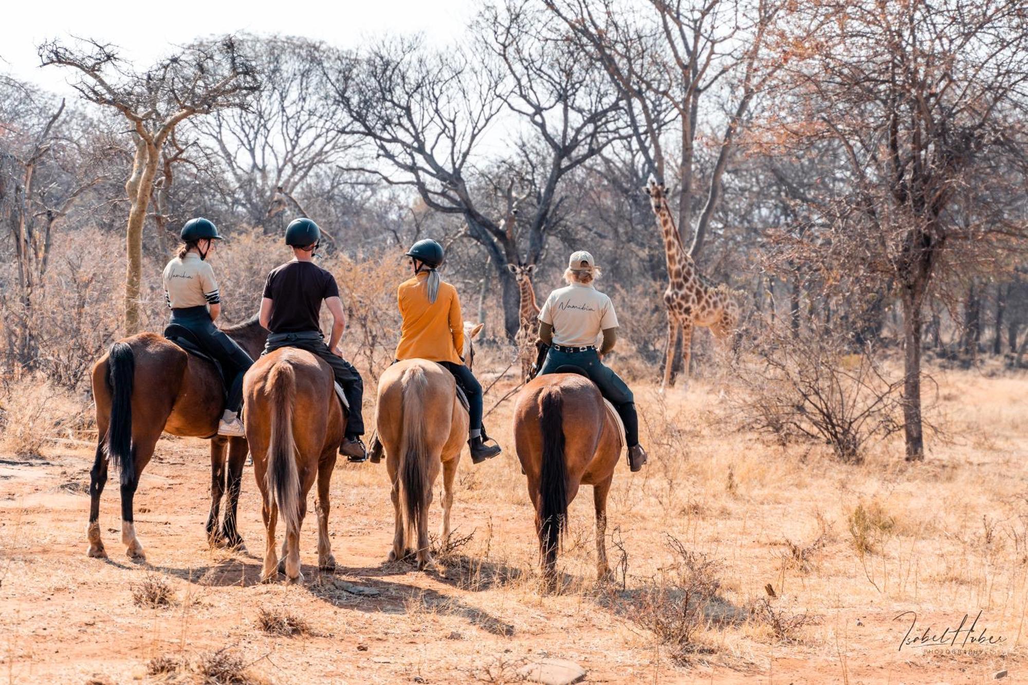 Gabus Safari Lodge Otavi Zewnętrze zdjęcie